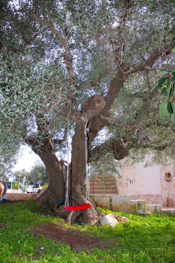 B&B Villa Nonna Maria Castellana Grotte Extérieur photo