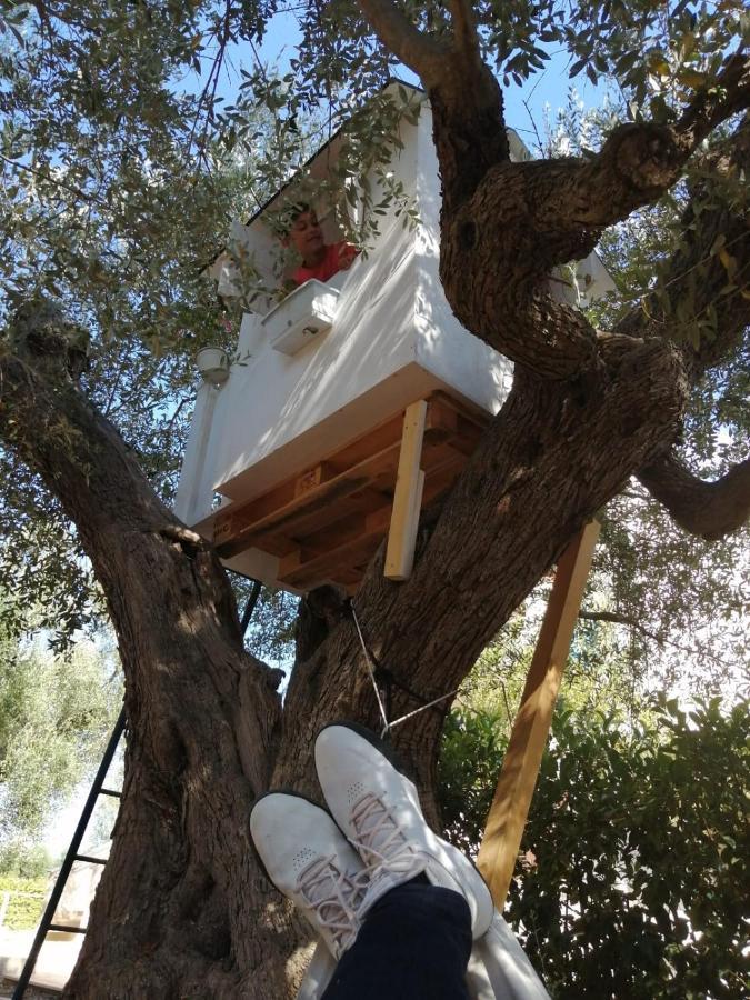 B&B Villa Nonna Maria Castellana Grotte Extérieur photo